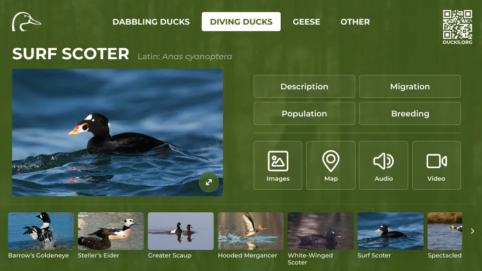 Ducks Unlimited Real-time Kiosk CMS project preview